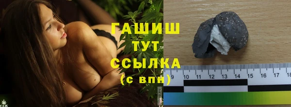 гашик Гусь-Хрустальный