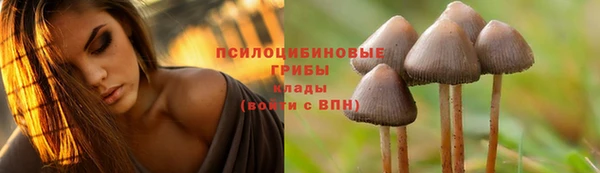 прущая мука Горно-Алтайск