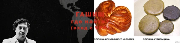 хмурый Гусев