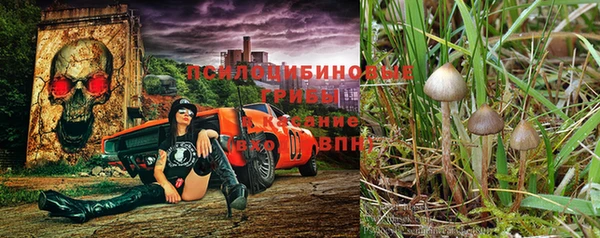 хмурый Гусев