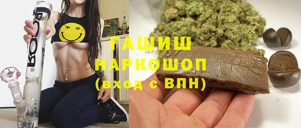 гашик Гусь-Хрустальный