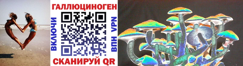 Купить закладки  Алатырь  Галлюциногенные грибы прущие грибы 